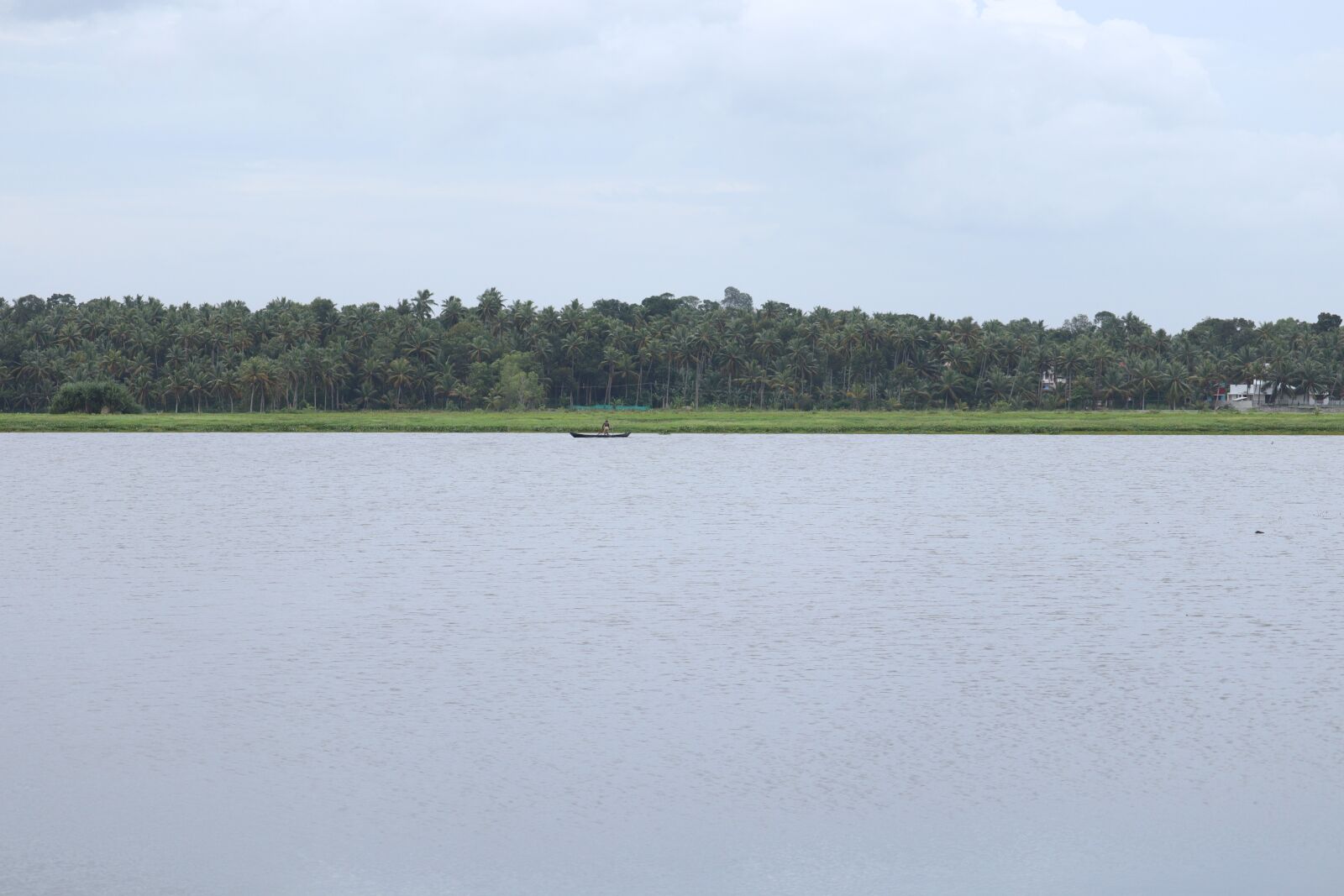 Canon EOS 250D (EOS Rebel SL3 / EOS Kiss X10 / EOS 200D II) sample photo. Kerala, nature, landscape photography