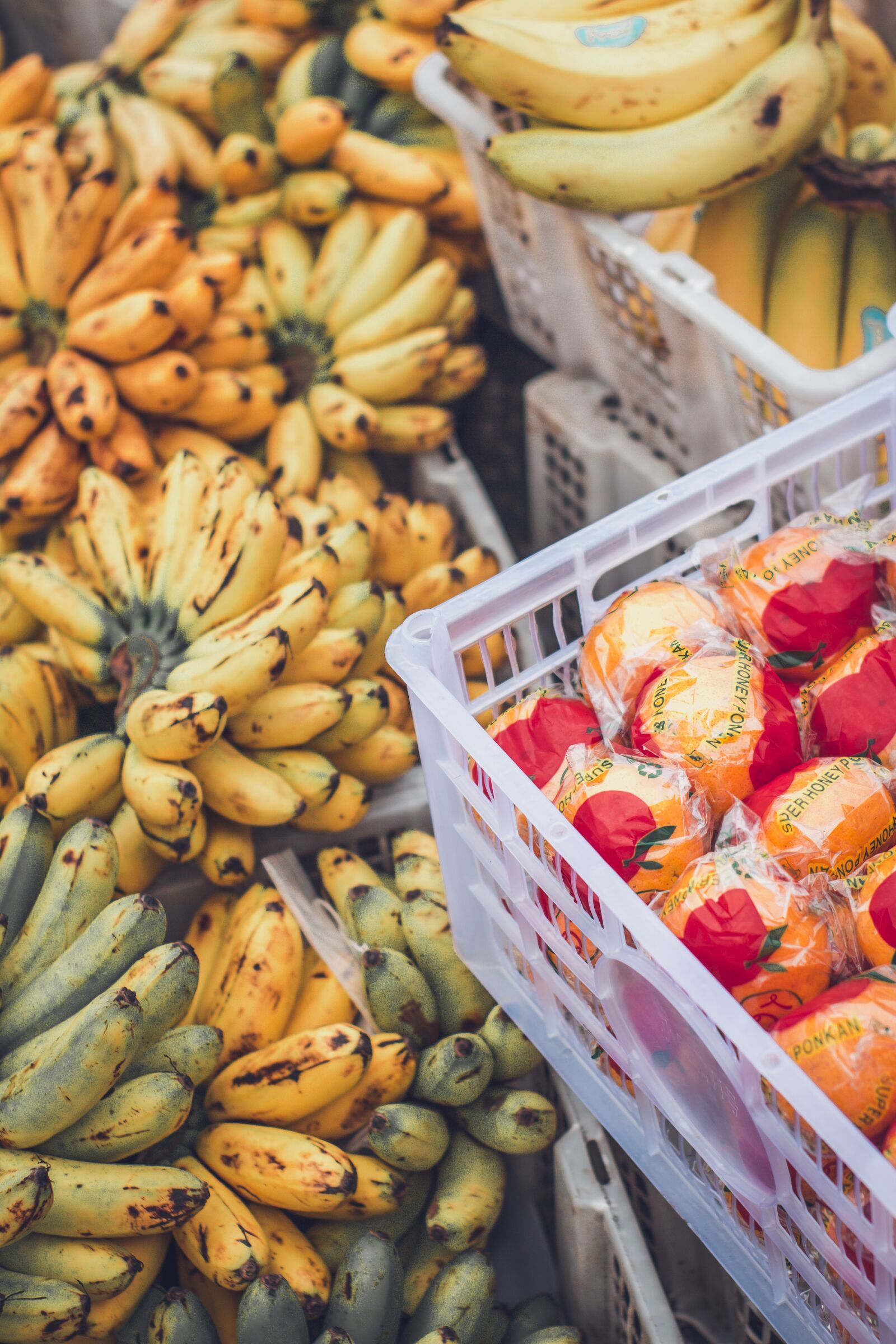 YN50mm f/1.8 II sample photo. Fruits, banana, orange photography