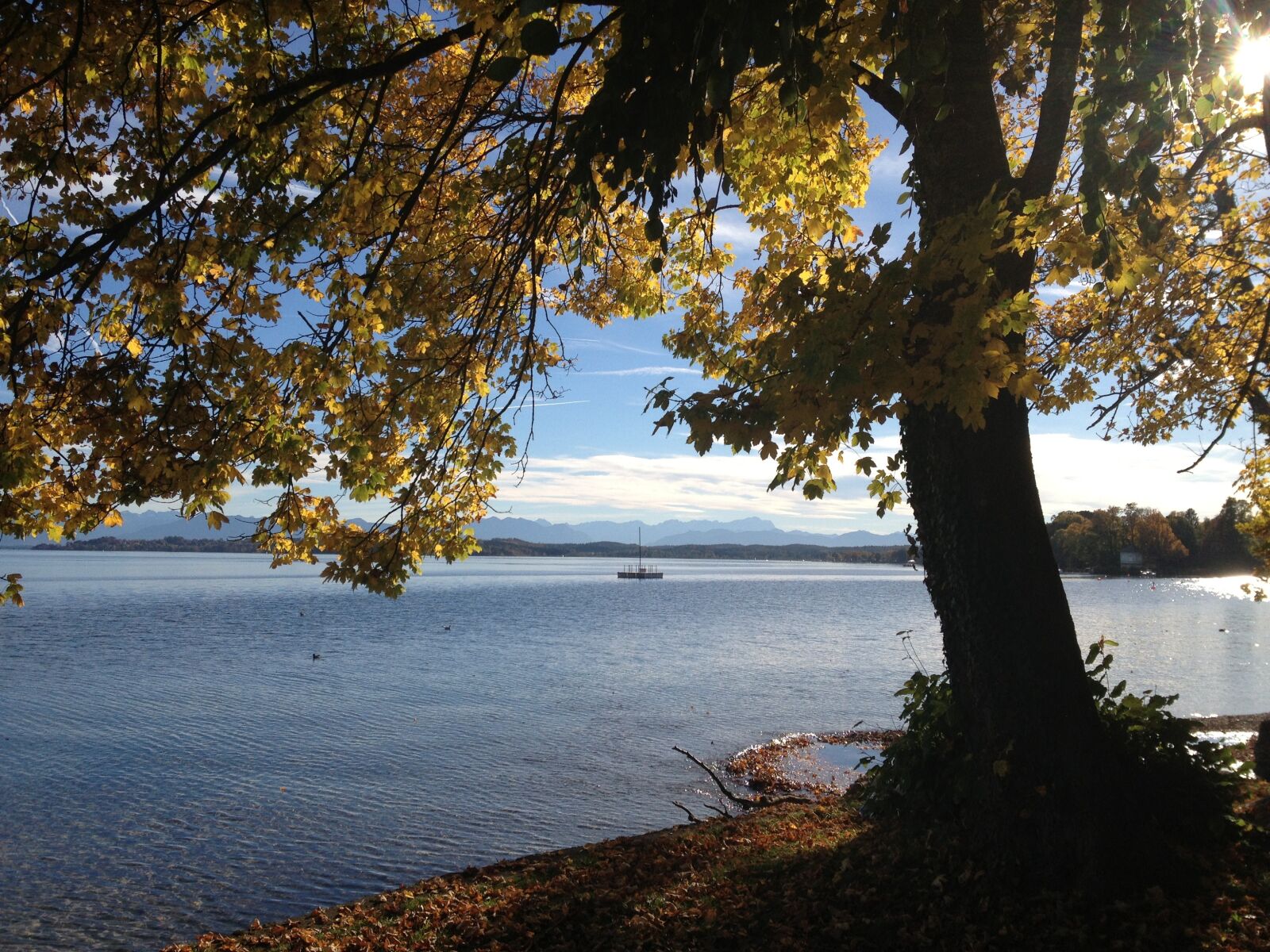 Apple iPhone 4S sample photo. Autumn, tree, yellow leaves photography