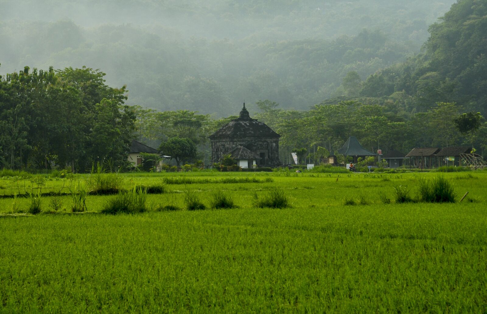 Nikon D5000 sample photo. Landscape nature, banyunibo temple photography