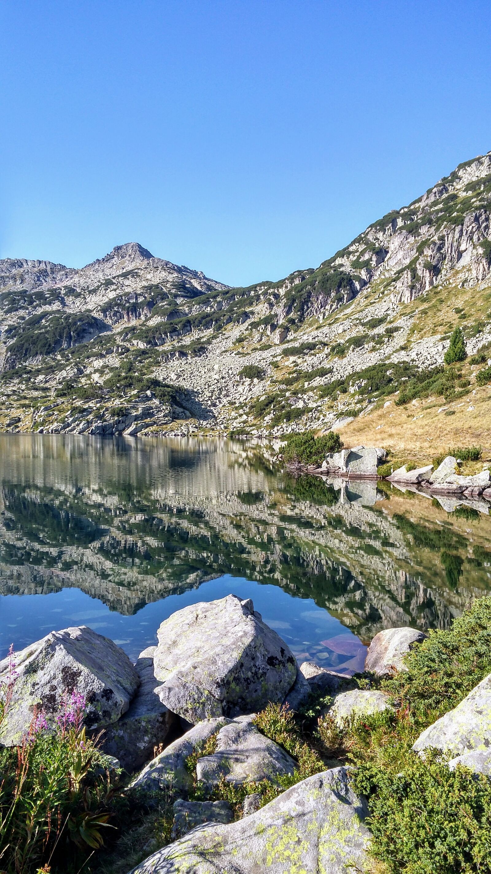 LG G FLEX2 sample photo. Pirin, popovo lake, nature photography