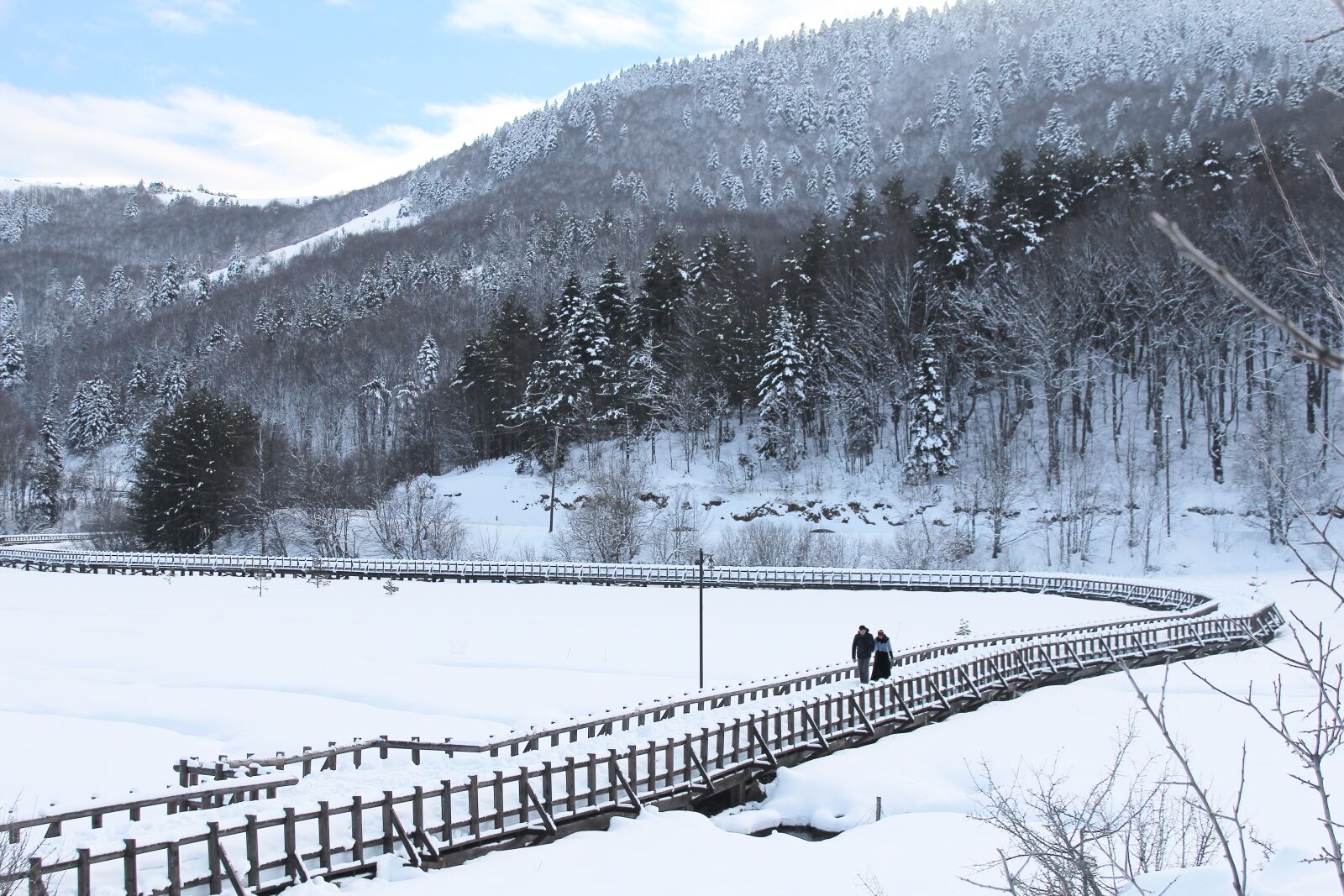 Canon EOS 600D (Rebel EOS T3i / EOS Kiss X5) + Canon EF 28-135mm F3.5-5.6 IS USM sample photo. Winter, snow, cold photography