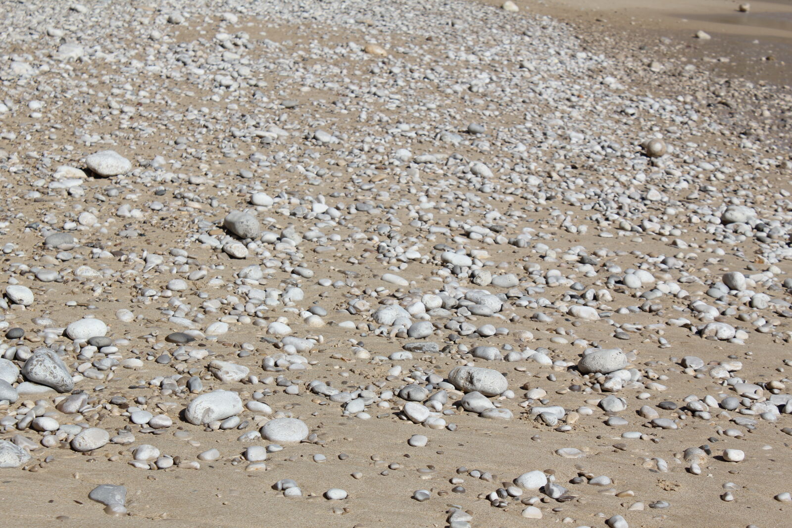 Canon EOS 550D (EOS Rebel T2i / EOS Kiss X4) sample photo. Beach, rocks photography