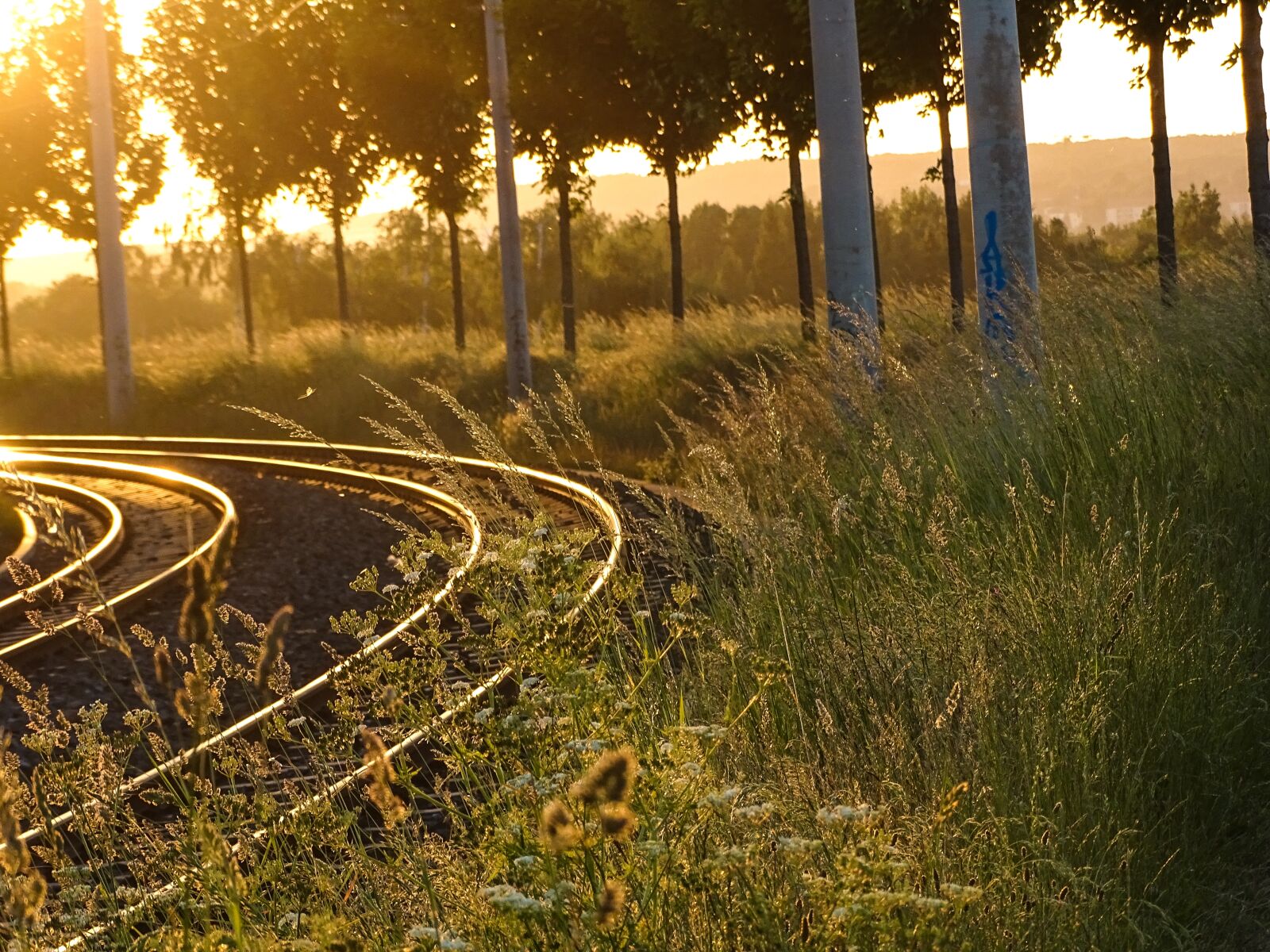 Sony Cyber-shot DSC-HX400V sample photo. Sunset, rails, gleise photography