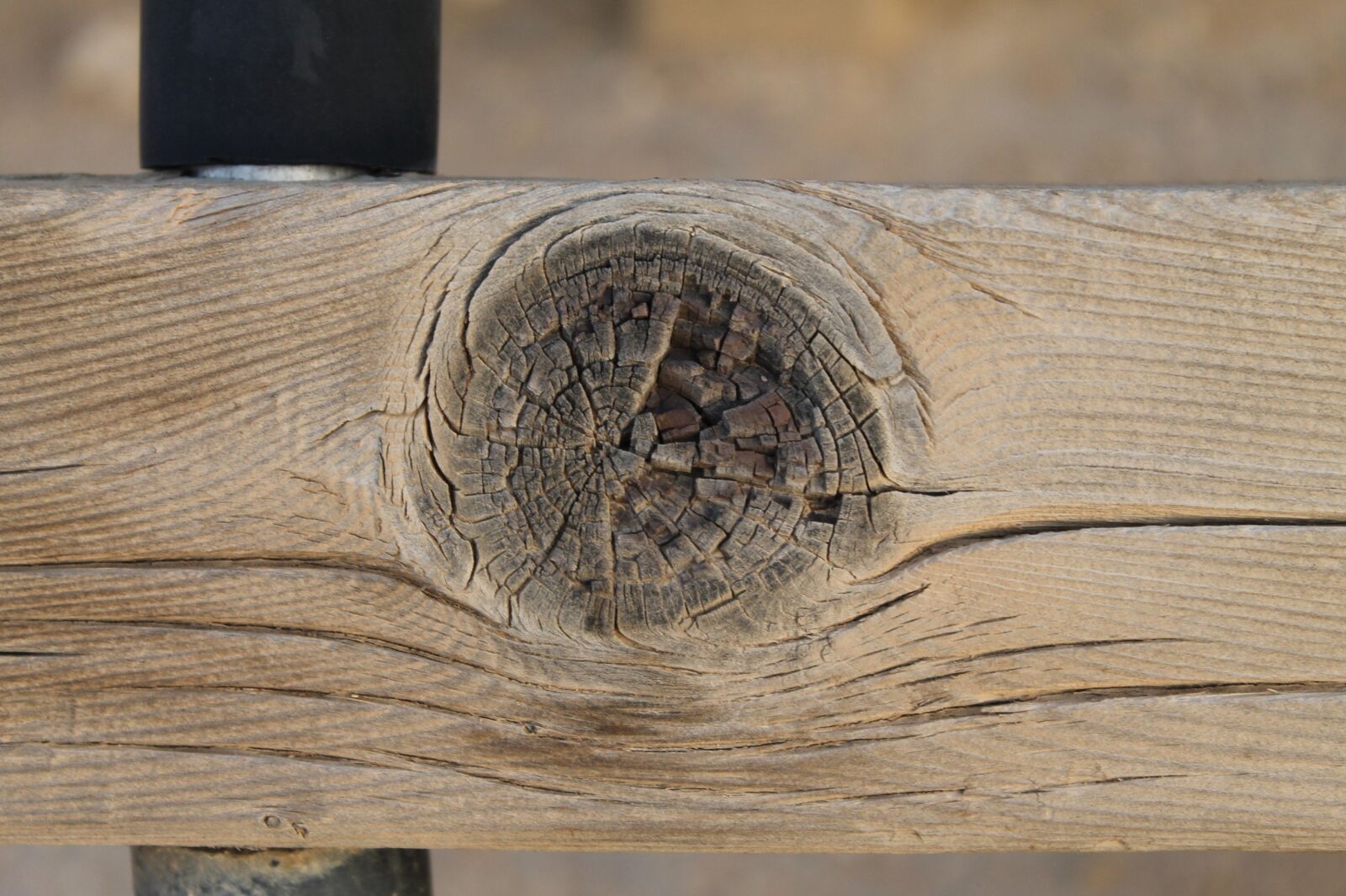 Canon EOS 1100D (EOS Rebel T3 / EOS Kiss X50) sample photo. Wood, timber, plank photography