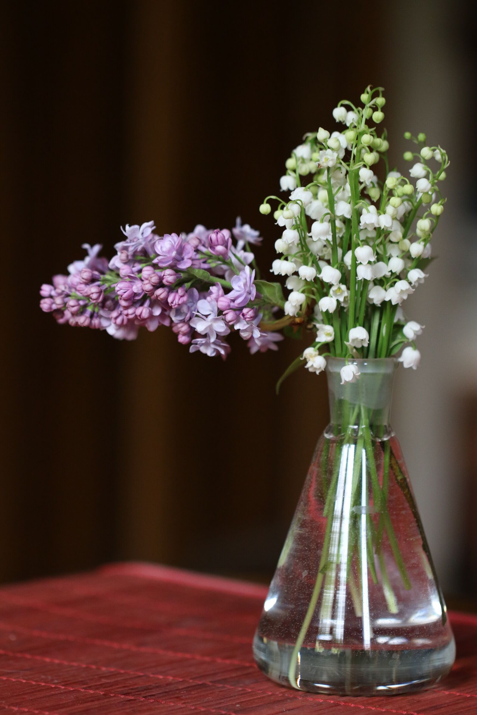 Canon EOS 70D sample photo. Thrush, lilac, bouquet photography