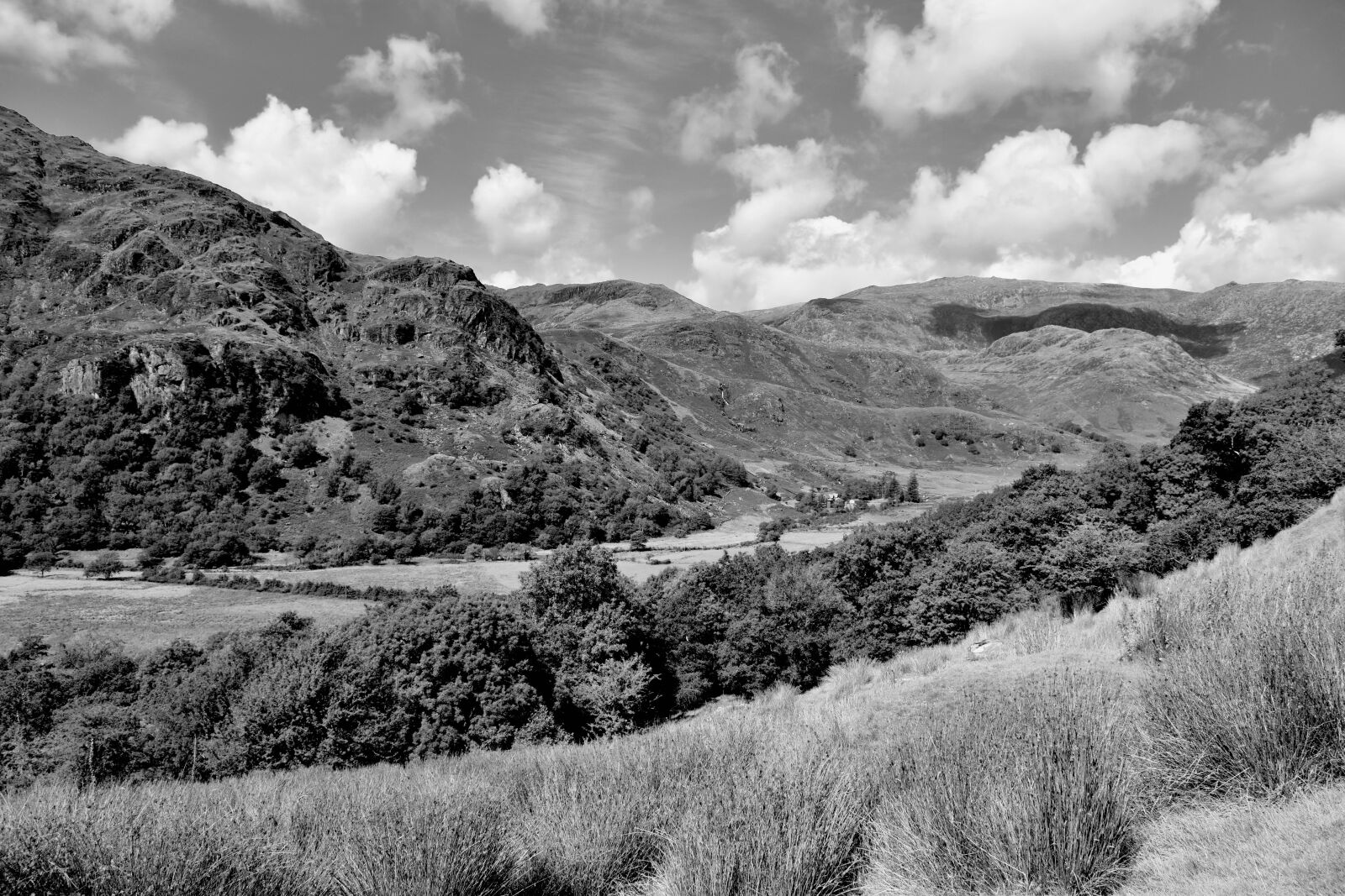Nikon D5600 sample photo. Snowdonia, black white, wales photography