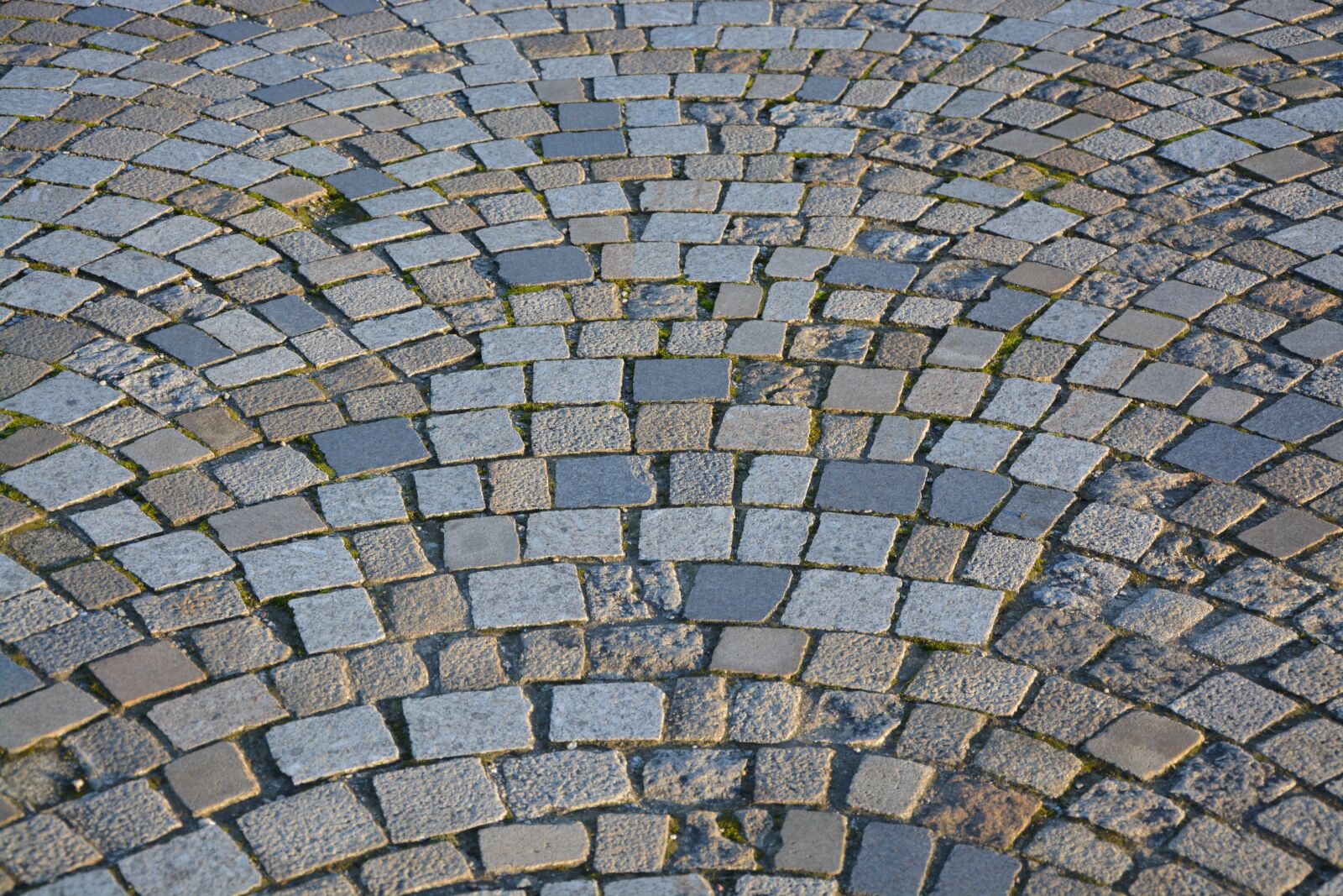 Nikon D5200 sample photo. Pavers, road pavers, stones photography