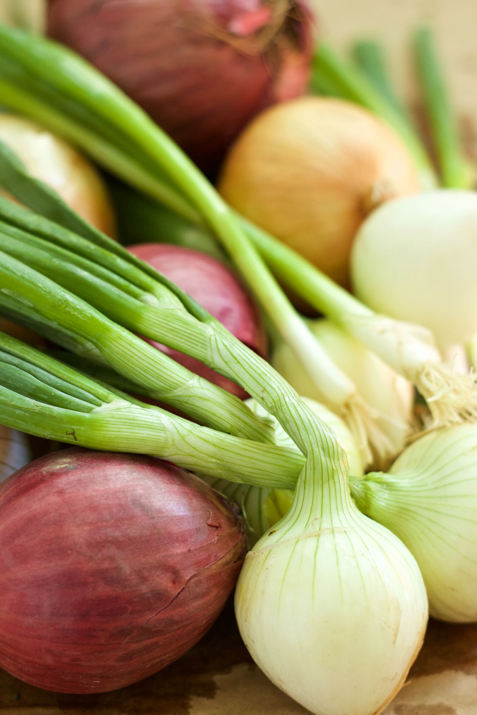 Canon EOS 70D + Canon EF 50mm F1.8 II sample photo. Onion, vegetable, spring photography