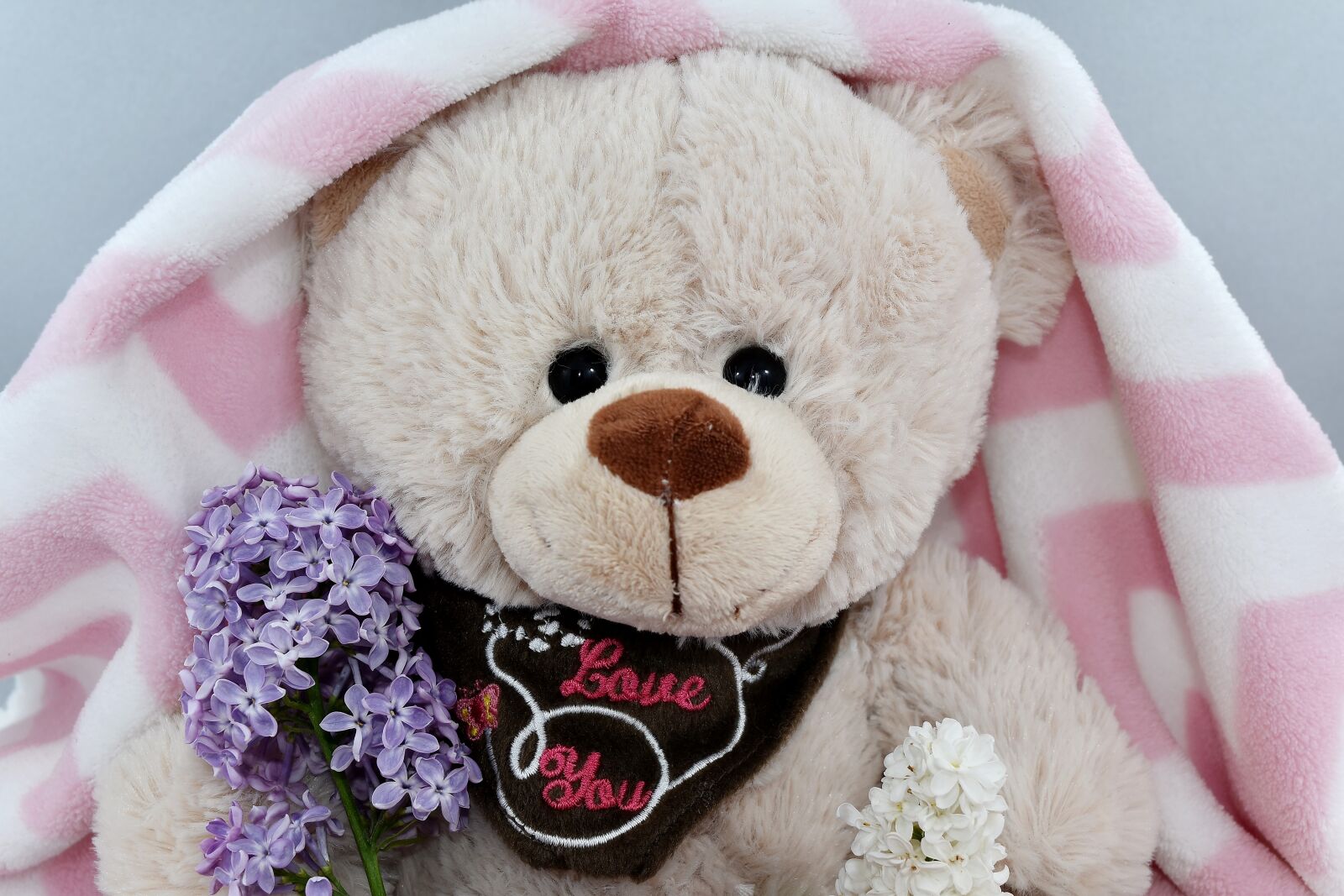 Nikon D5500 sample photo. Beautiful flowers, blanket, cute photography
