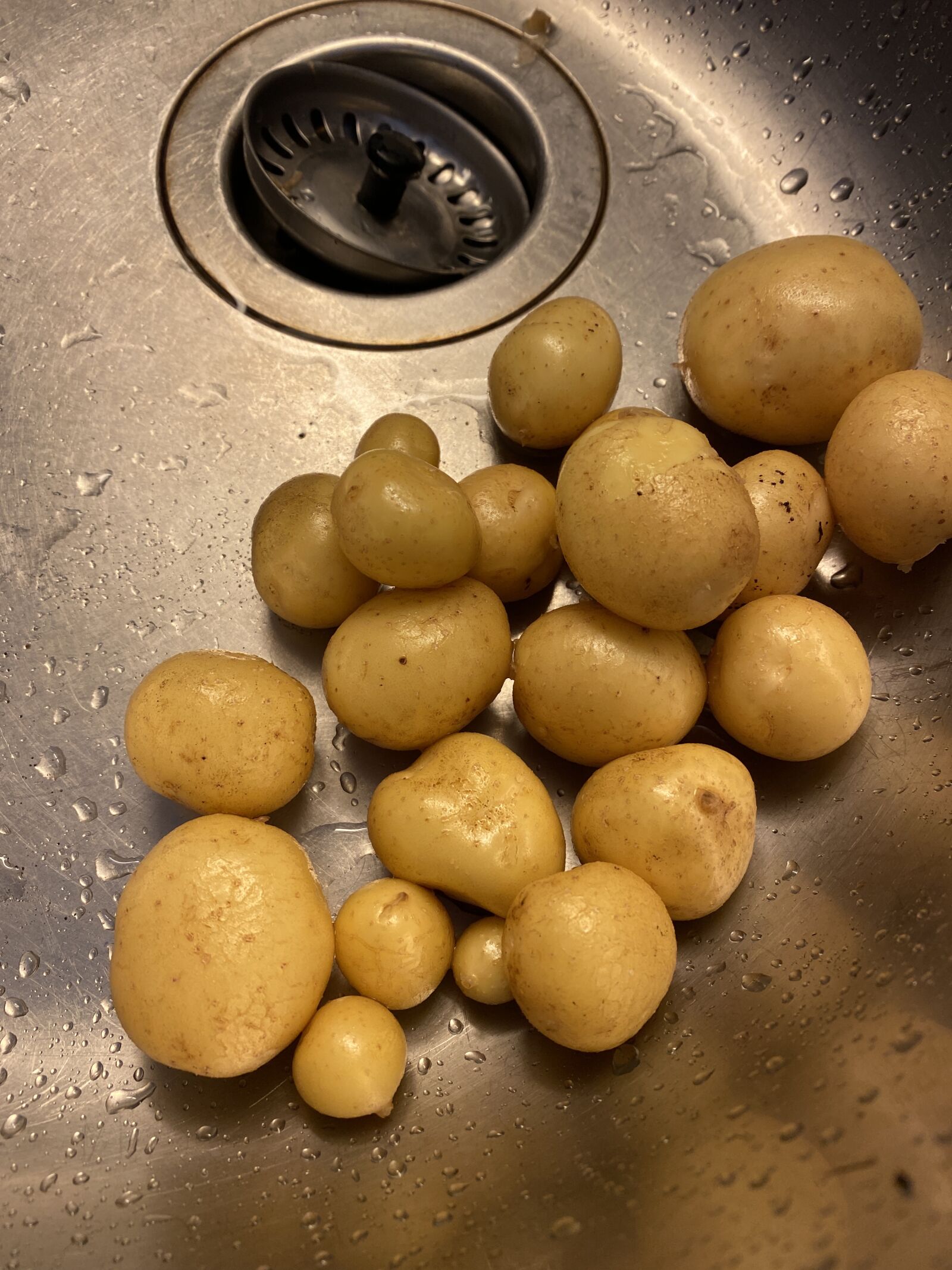 Apple iPhone 11 sample photo. Vegetables, potato, potatoes photography