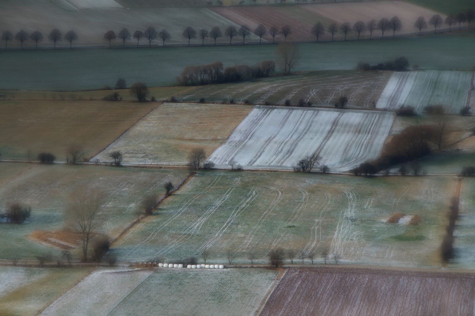Nikon D300S sample photo. Wood mountain, weser uplands photography