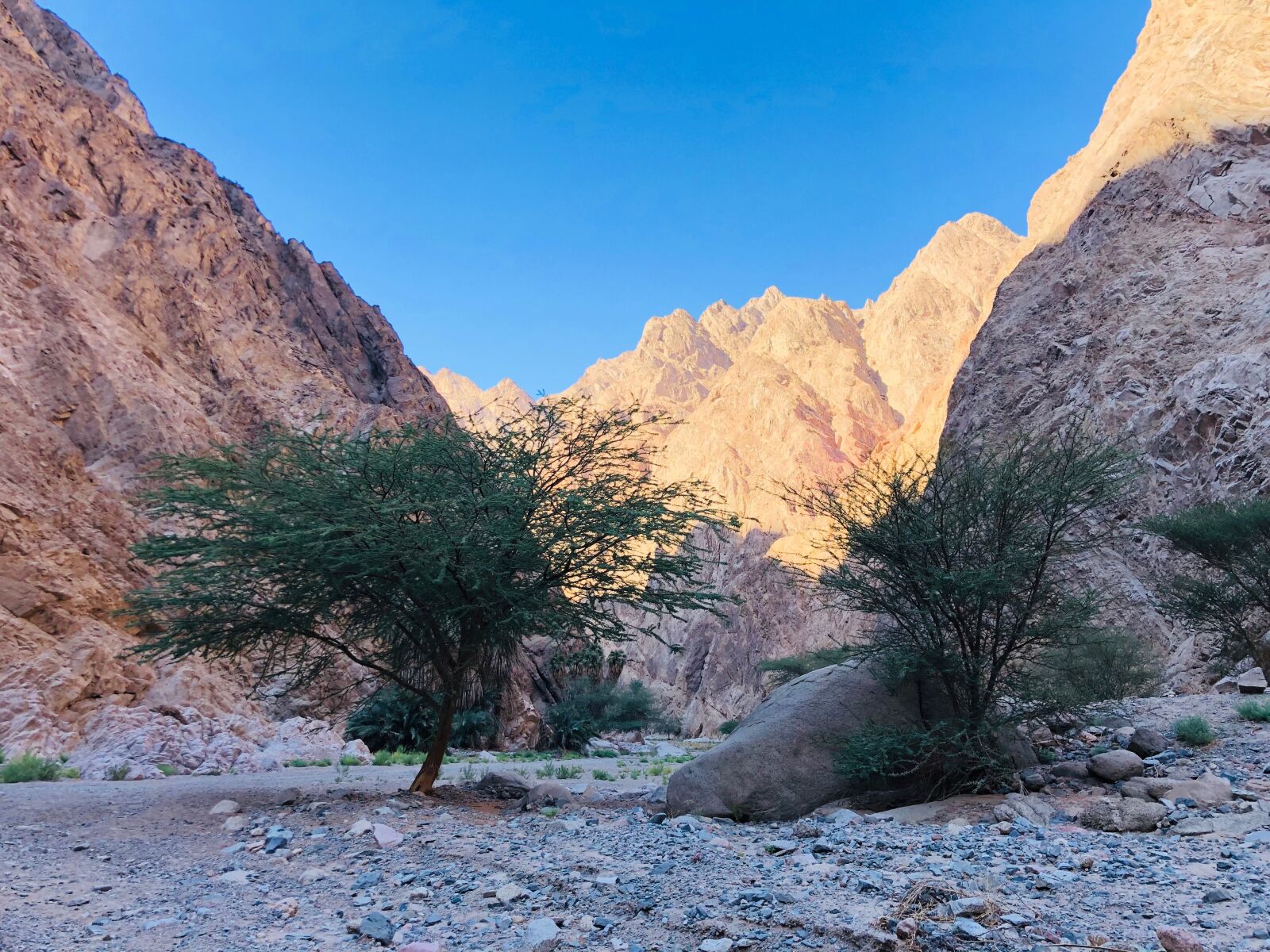iPhone X back dual camera 4mm f/1.8 sample photo. Wadi, tradition, saudi arabia photography