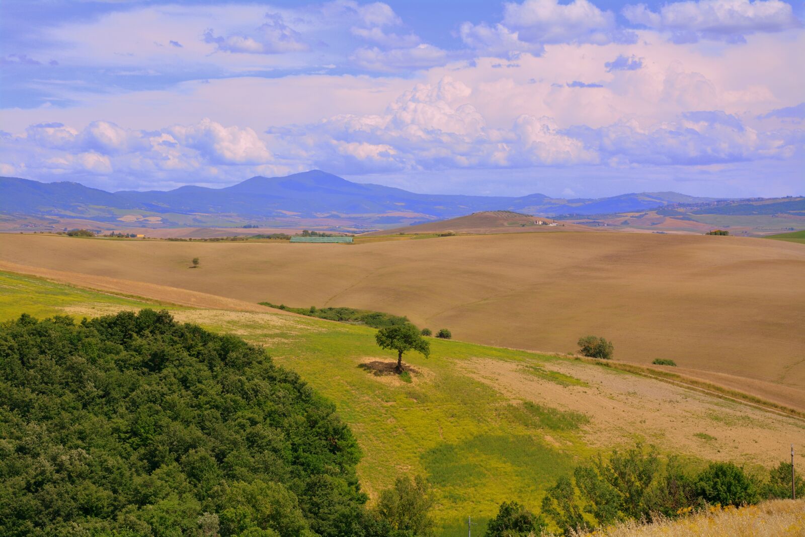 Nikon D7100 sample photo. Hill, tree, sky photography