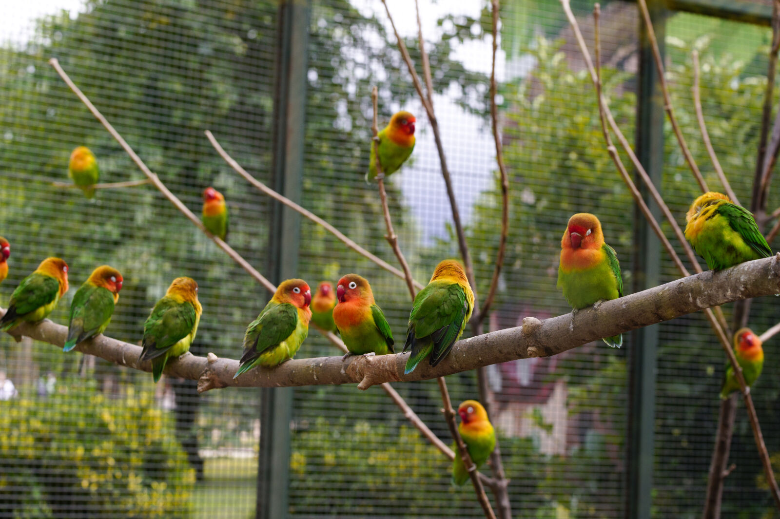 Nikon Z6 sample photo