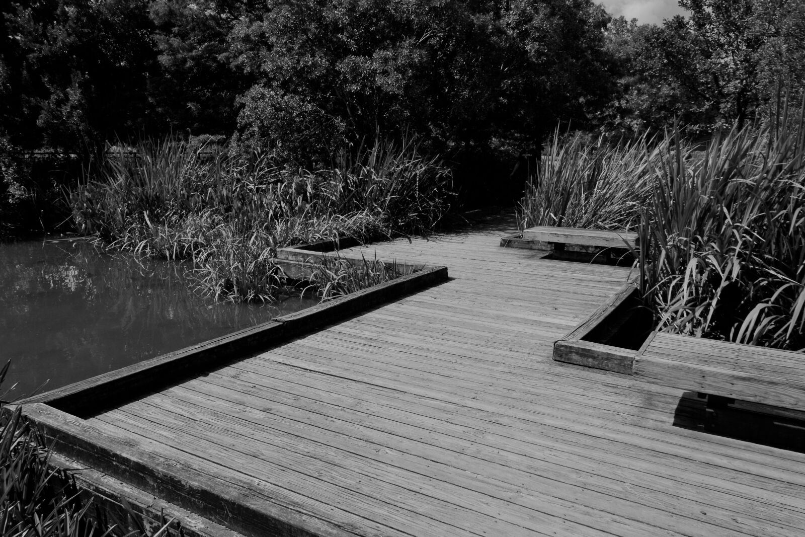 Nikon D3100 sample photo. Elevated wooden path, river photography