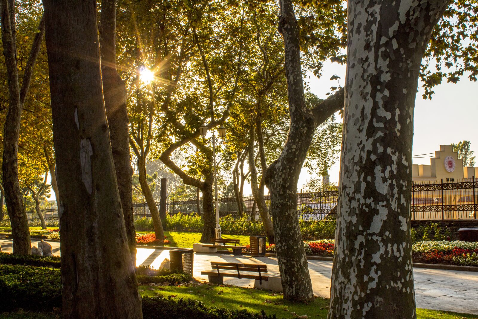 Canon EOS 1300D (EOS Rebel T6 / EOS Kiss X80) sample photo. Istanbul, park, solar photography