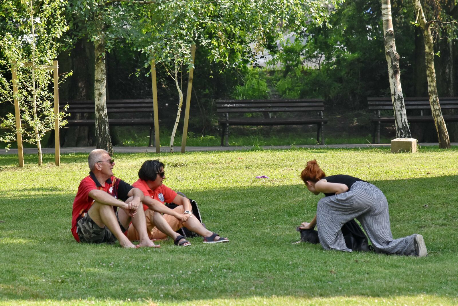 Nikon D5500 sample photo. Grass, outdoors, sport, recreation photography