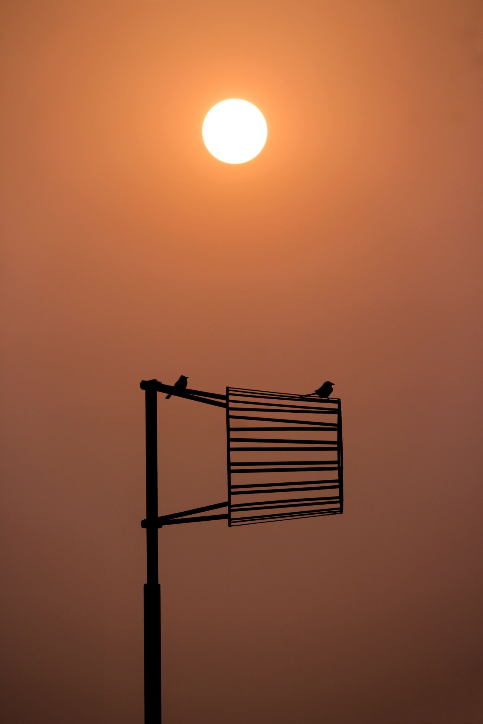 Canon EF-S 55-250mm F4-5.6 IS STM sample photo. Sun, sunset, sky photography