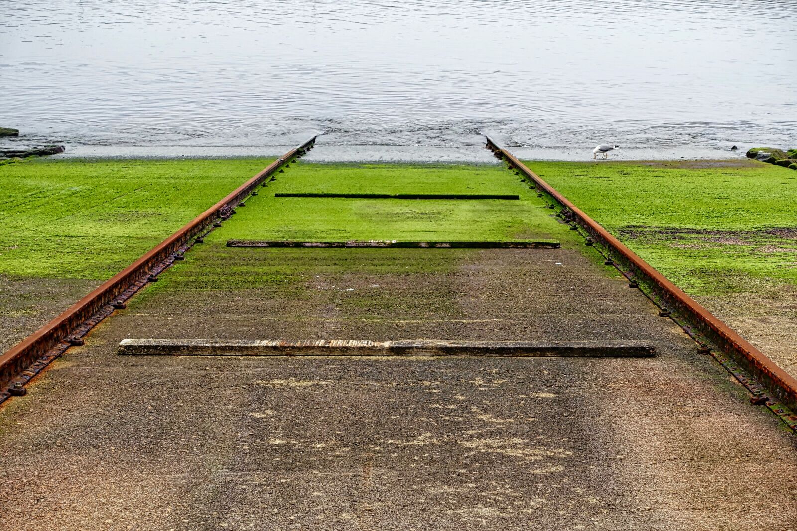 Sony Cyber-shot DSC-RX100 III sample photo. Boat ramp, rail, waterway photography