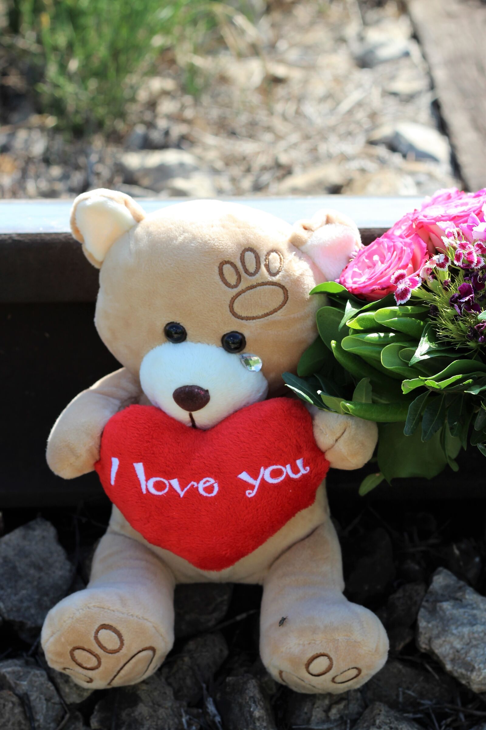 Canon EOS 600D (Rebel EOS T3i / EOS Kiss X5) + Canon EF 50mm F1.8 II sample photo. Stop child suicide, teddy photography