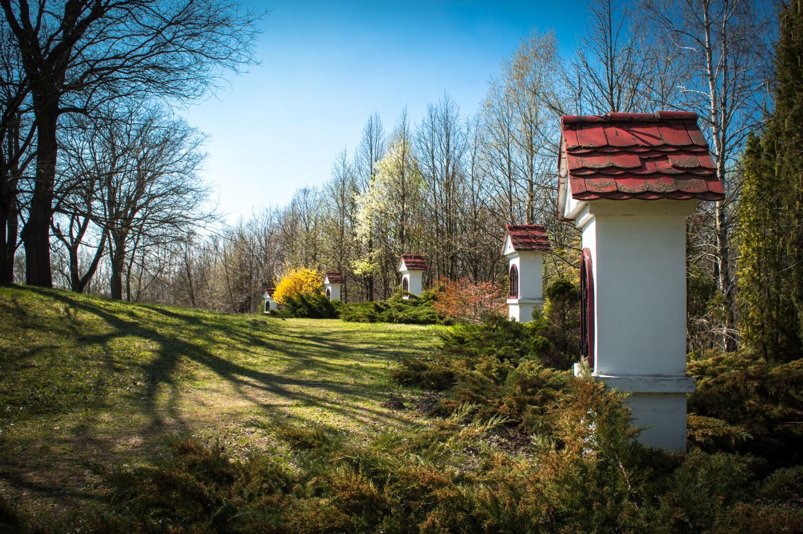 Nikon D3200 sample photo. Arboretum, kecskemét, spring photography