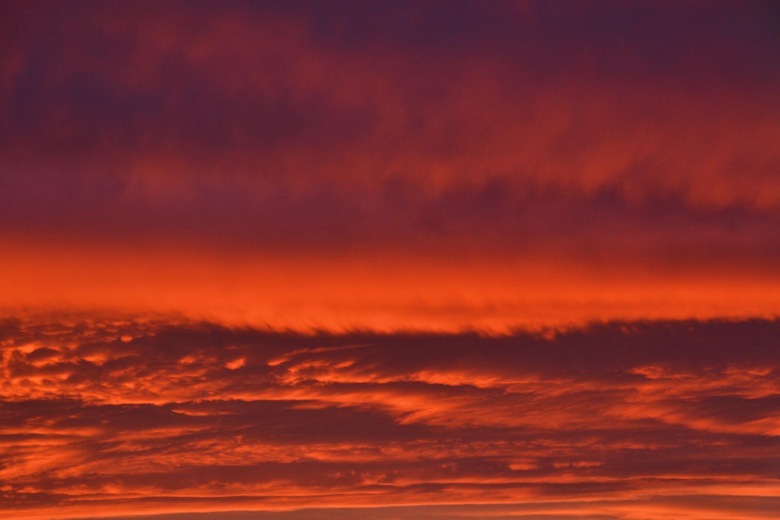 Nikon D3100 sample photo. Sky, nature, red photography