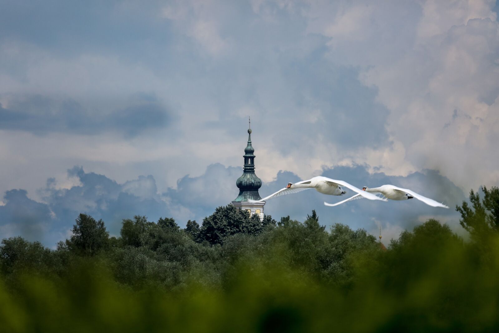 Canon EF 100-400mm F4.5-5.6L IS USM sample photo. Church, swans, sky photography