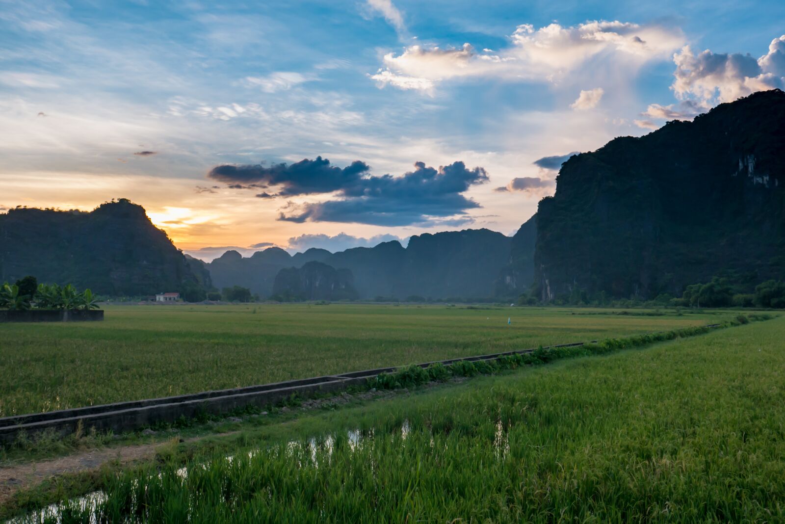 Panasonic Lumix DMC-G7 + LUMIX G VARIO 14-42/F3.5-5.6 II sample photo. Southeast asia, vietnam, rice photography