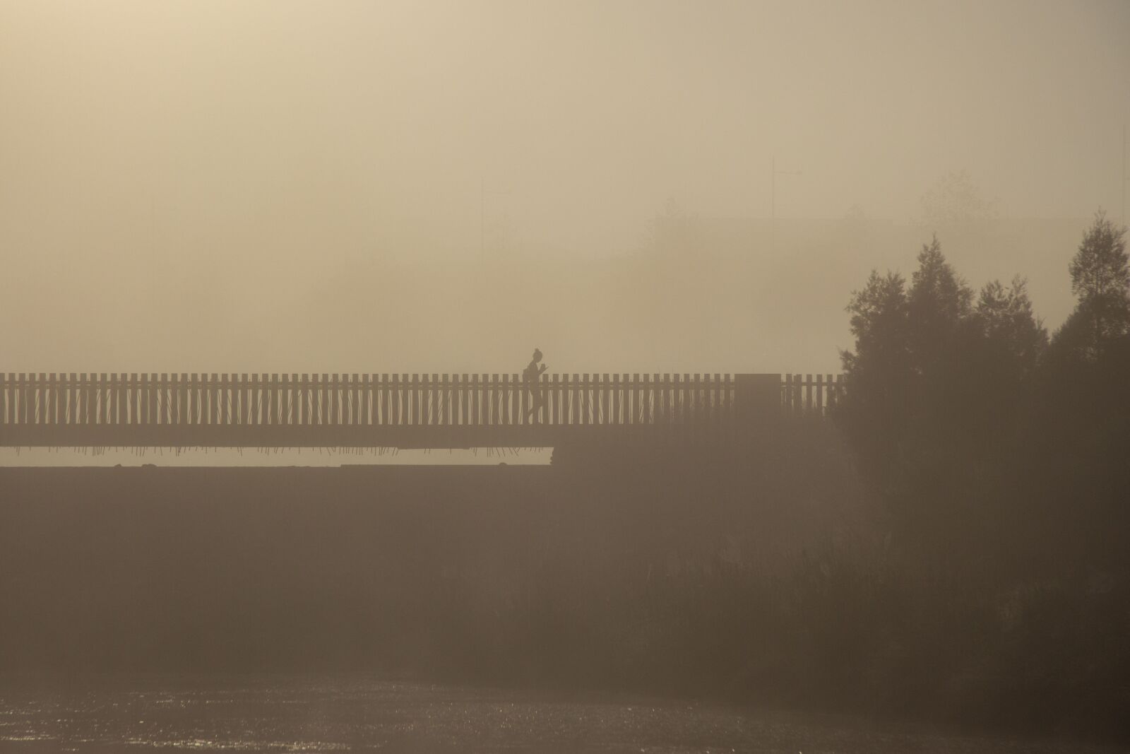 Canon EF-S 17-85mm F4-5.6 IS USM sample photo. Misty, bridge, jogging photography