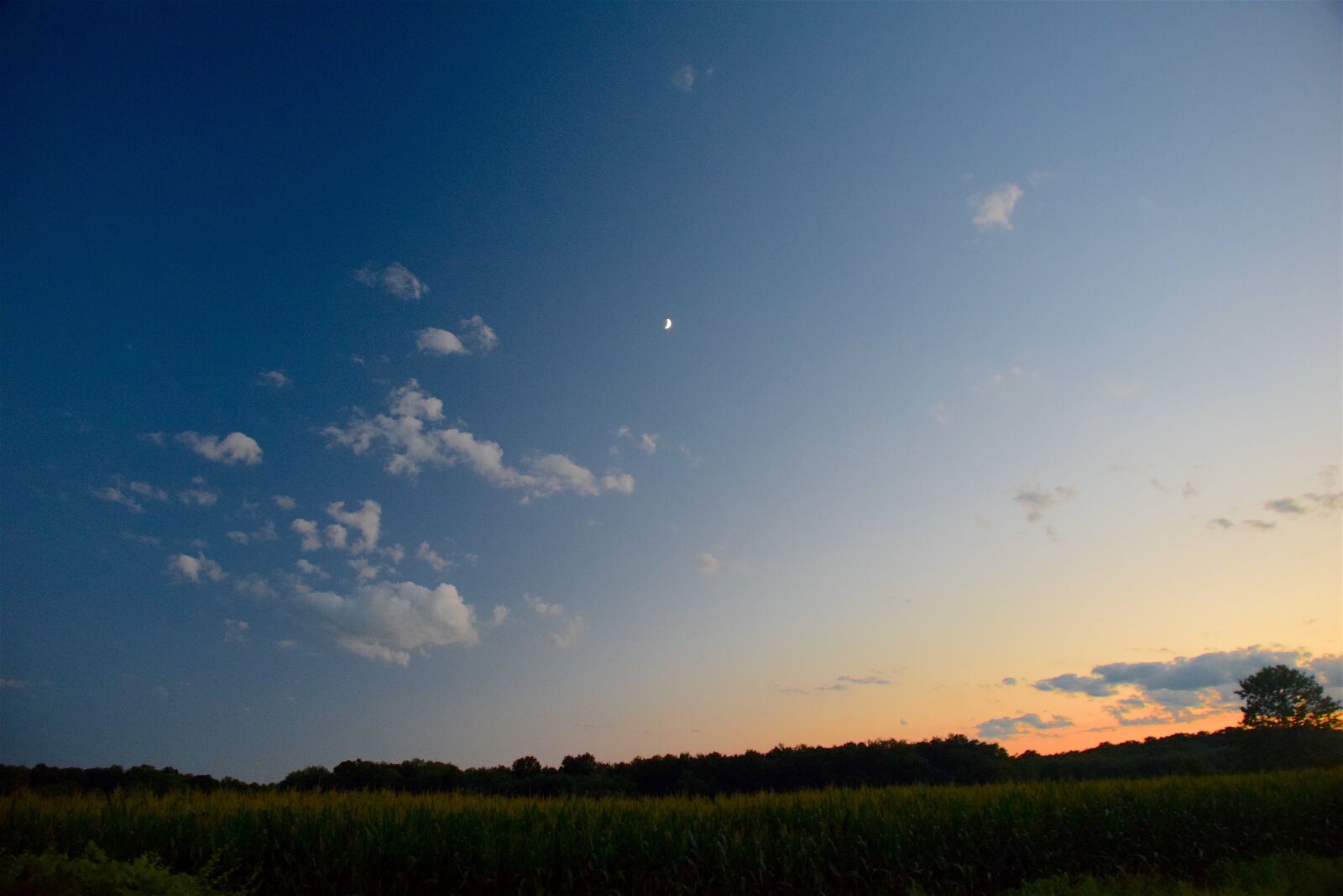 Nikon D3300 sample photo. Sunset, moon, sky photography