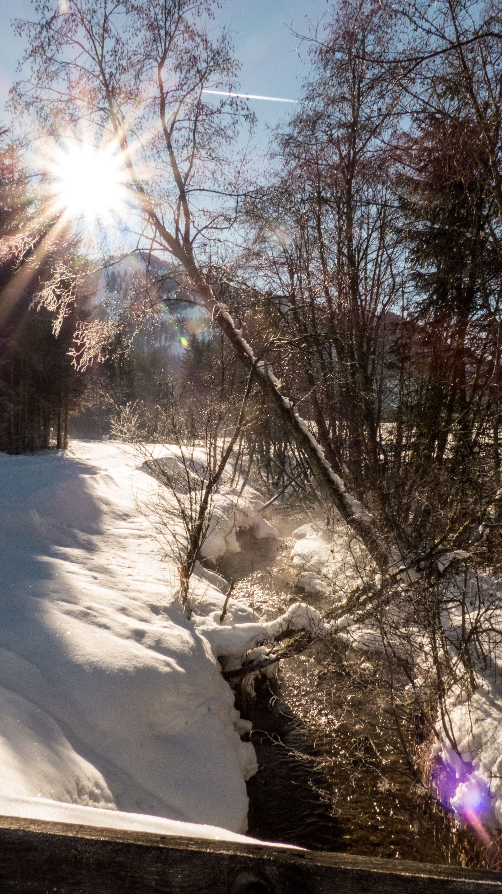 Panasonic Lumix DMC-FZ200 sample photo. Wintry, snow, nature photography