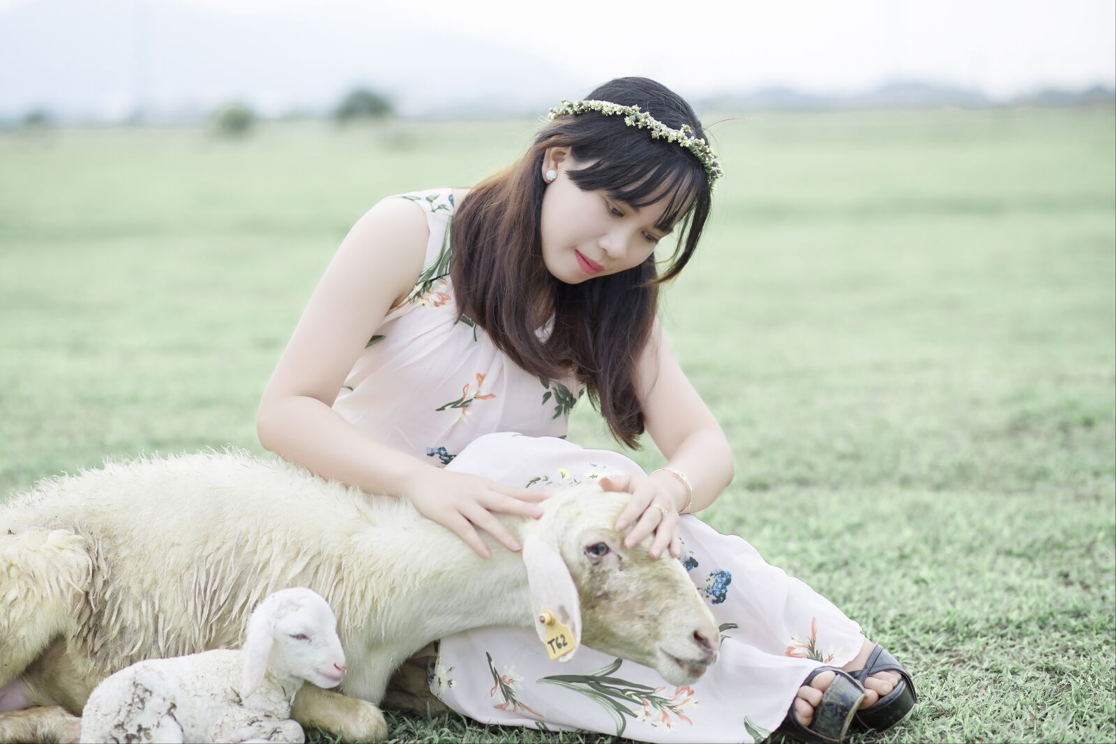 Canon EF 85mm F1.8 USM sample photo. Vietnamese, girl, sheep photography