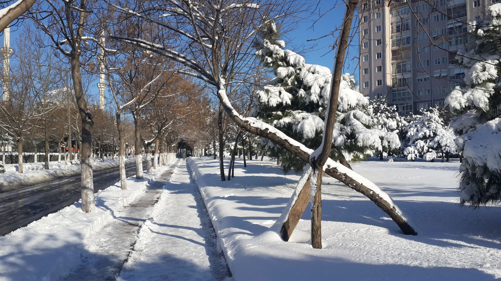 Samsung Galaxy S4 sample photo. Snow, winter photography