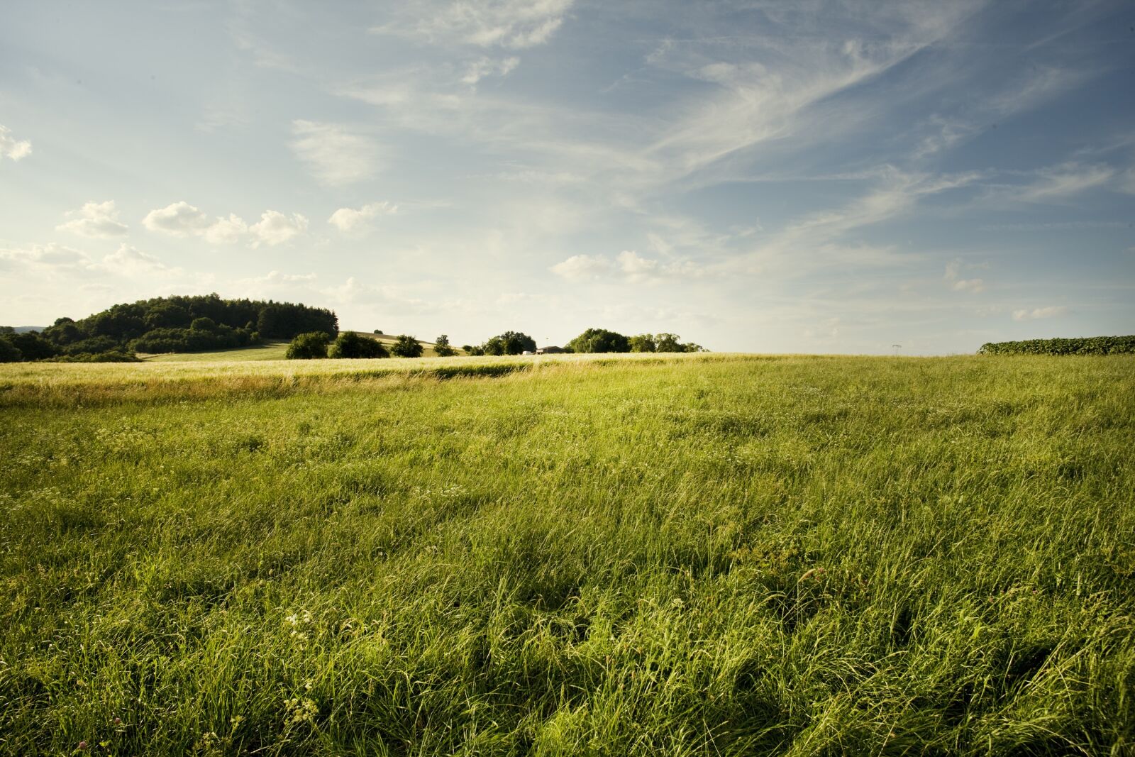 Canon EOS-1Ds Mark III sample photo. Landscape, field, grass photography