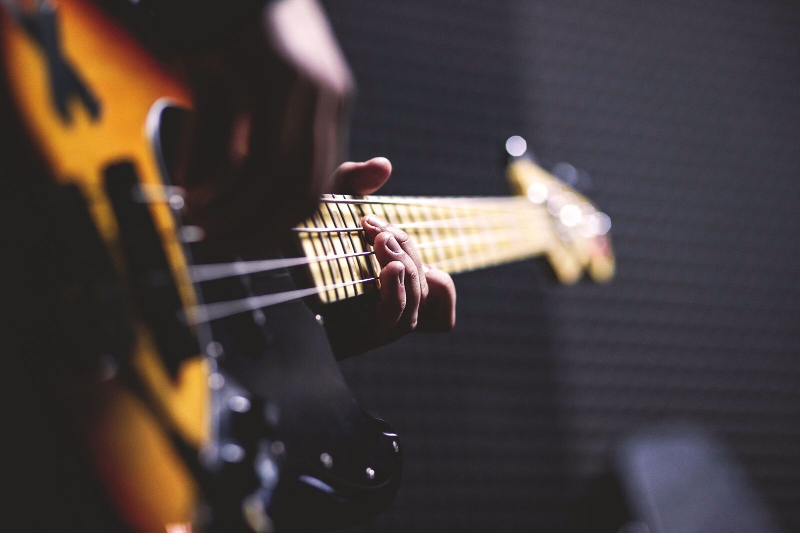 Canon EF 85mm F1.8 USM sample photo. Bass guitar, chord, close-up photography