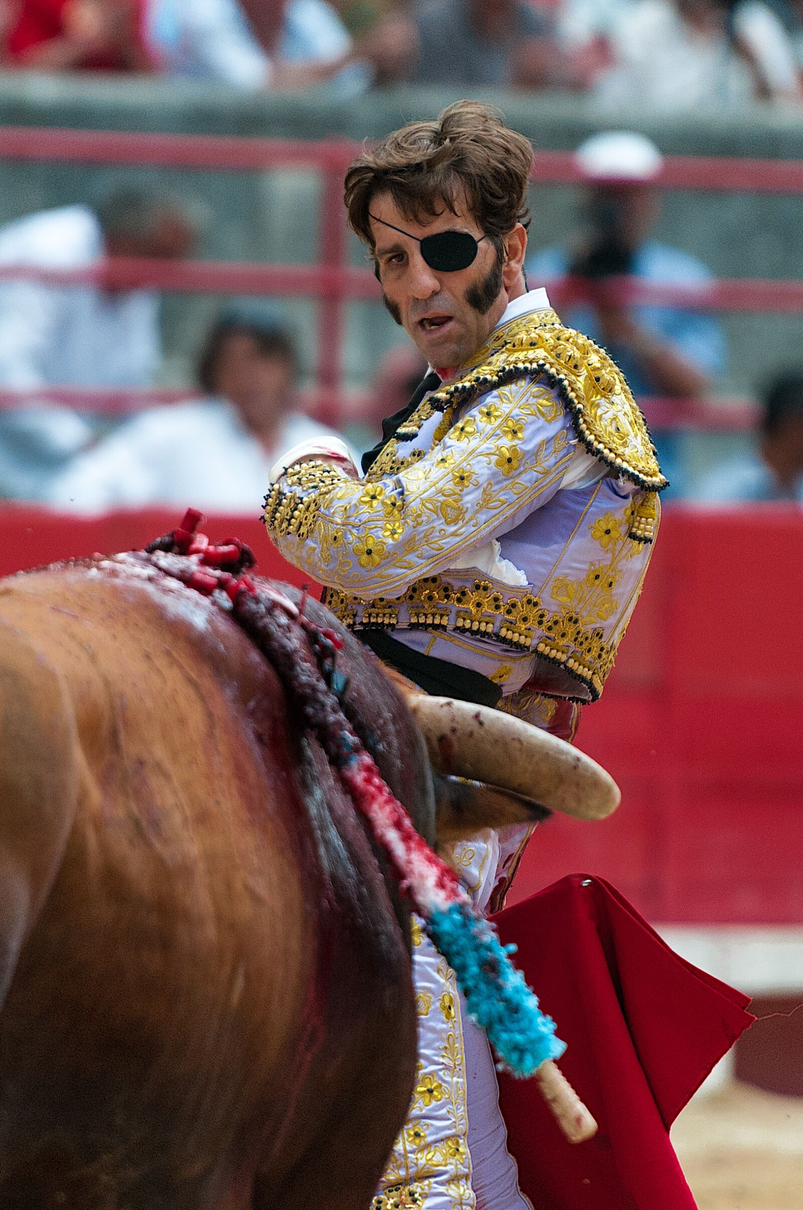 Nikon D300S sample photo. Bullfight, toreador, bulls photography