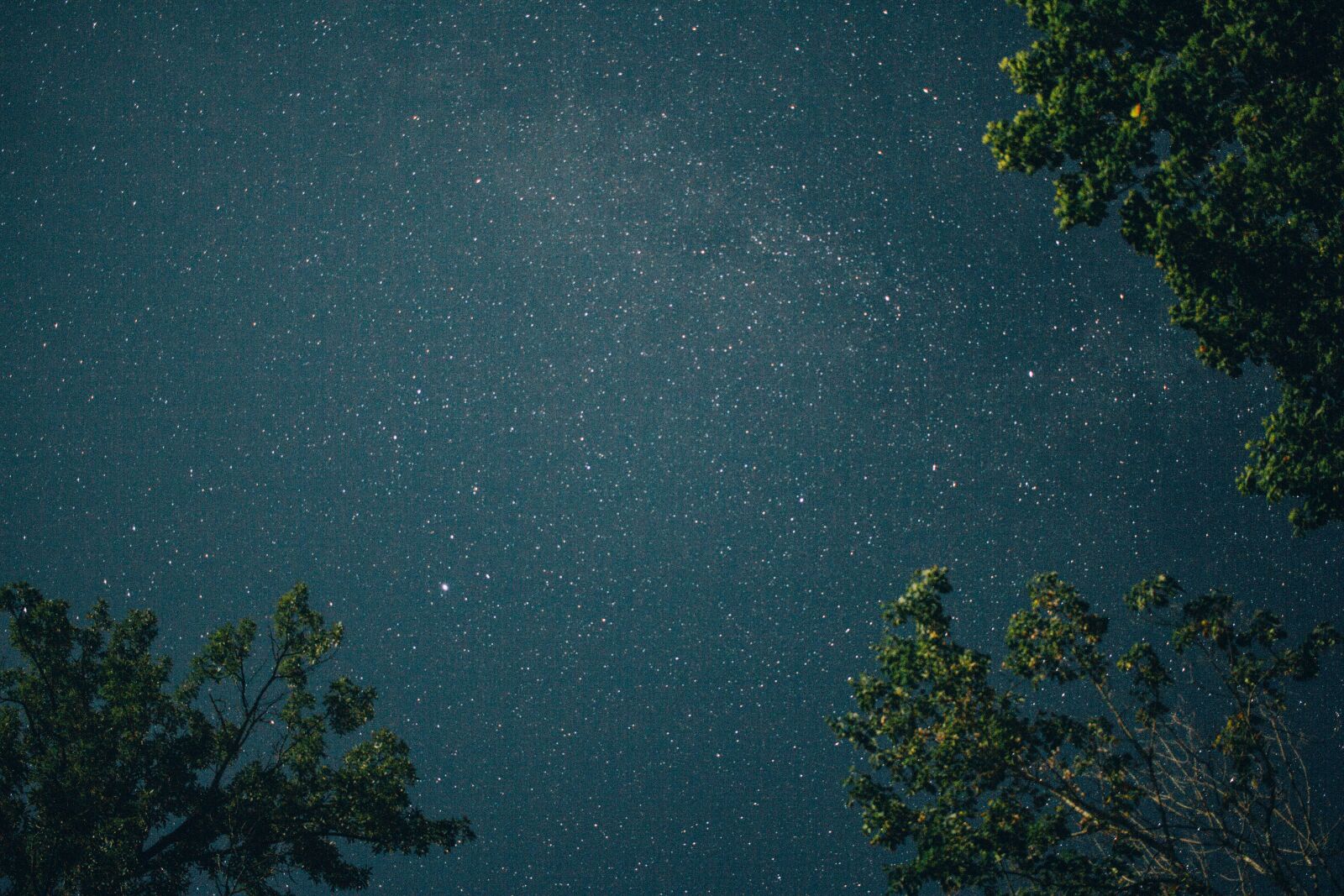 Canon EOS 60D + Canon EF-S 24mm F2.8 STM sample photo. Stars, sky, night photography