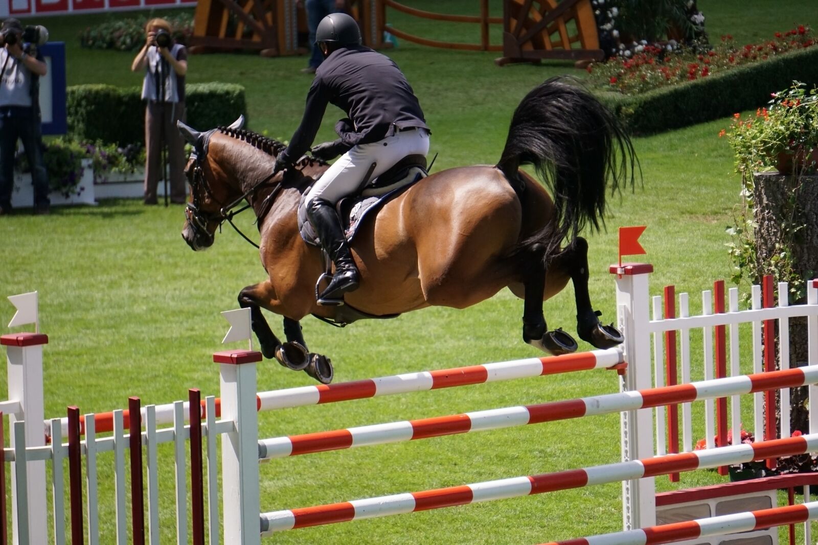 Sony E 55-210mm F4.5-6.3 OSS sample photo. Chio, aachen, equestrian photography