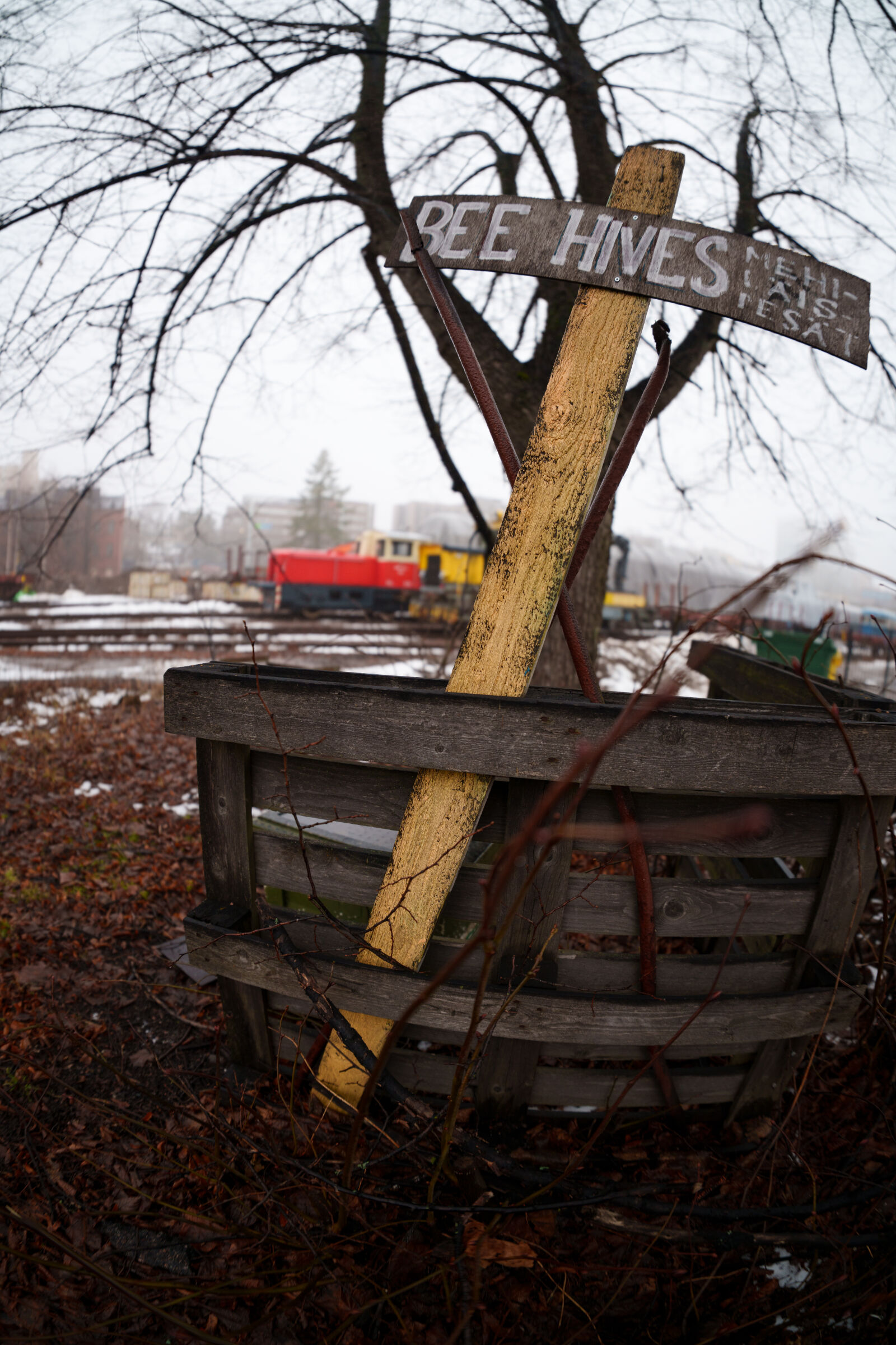 Sigma 15mm F1.4 DG DN Diagonal Fisheye Art sample photo. Bee hives sleeping photography