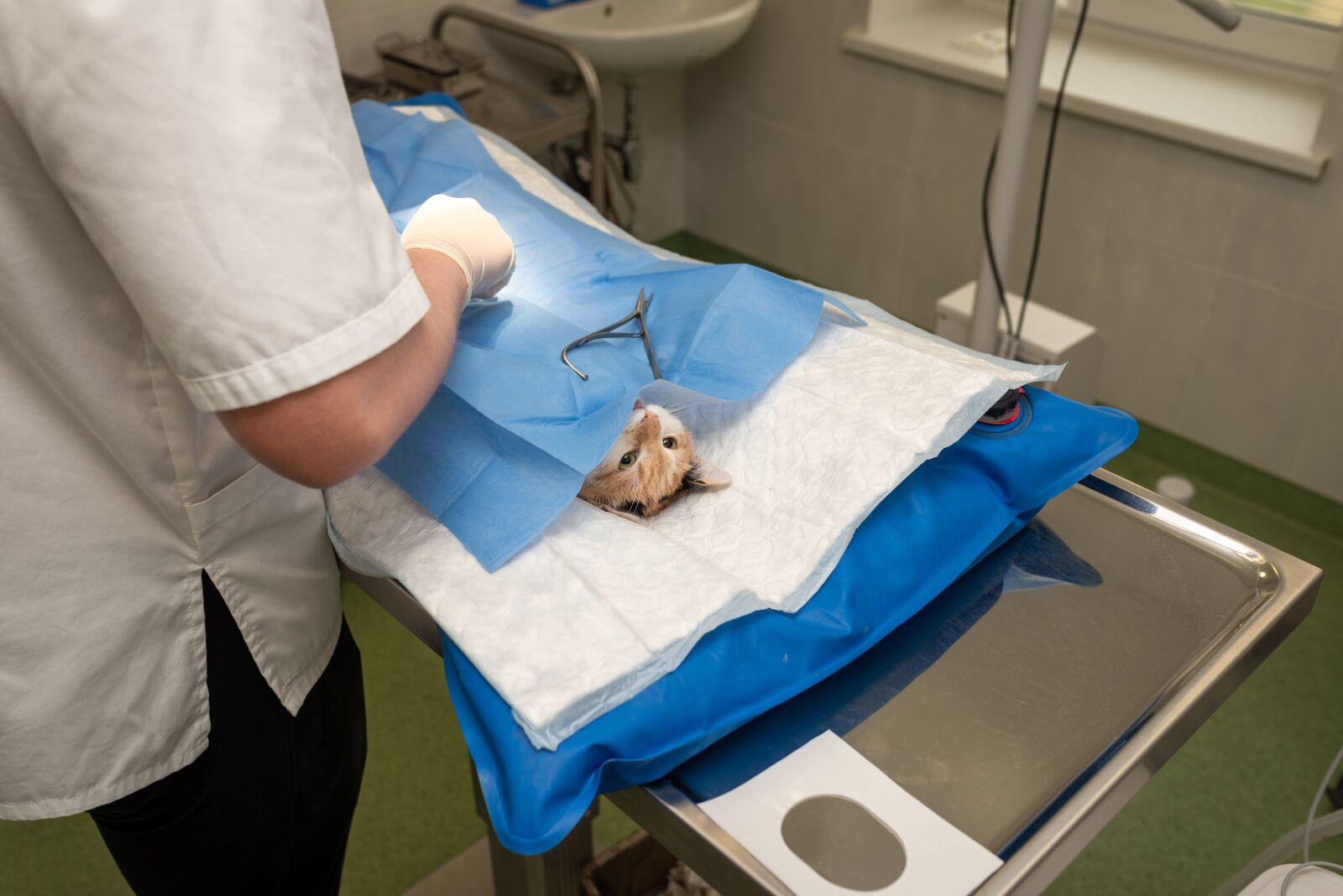 Nikon D610 sample photo. Health, hospital, medicine photography