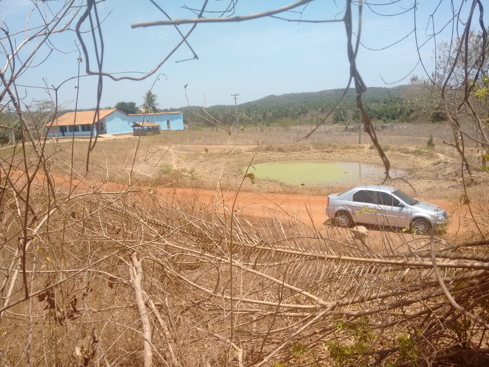 Motorola Moto G (2nd Gen) sample photo. Brazil, miguel, alves, nordeste photography