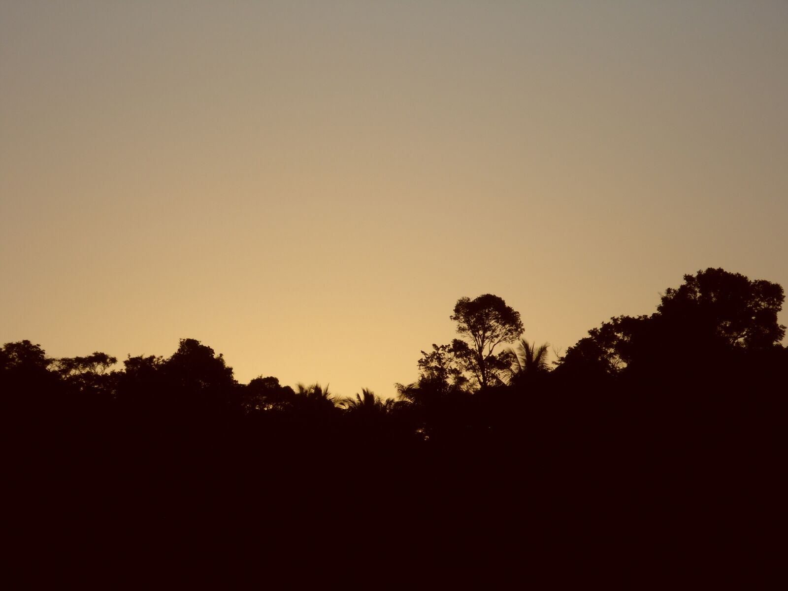 Samsung WB100/  WB101 sample photo. Sunset, gold, cabrália photography