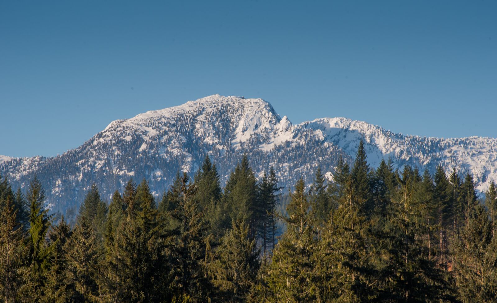 Nikon D750 sample photo. Mountain, trees, landscape photography