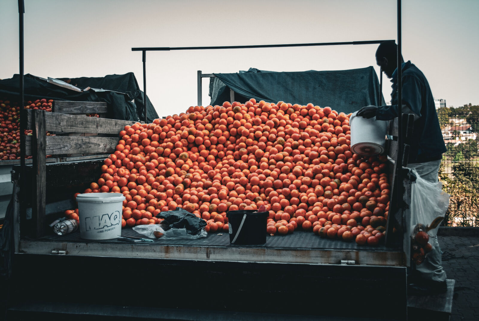 Nikon D60 sample photo. Fruit delivery photography