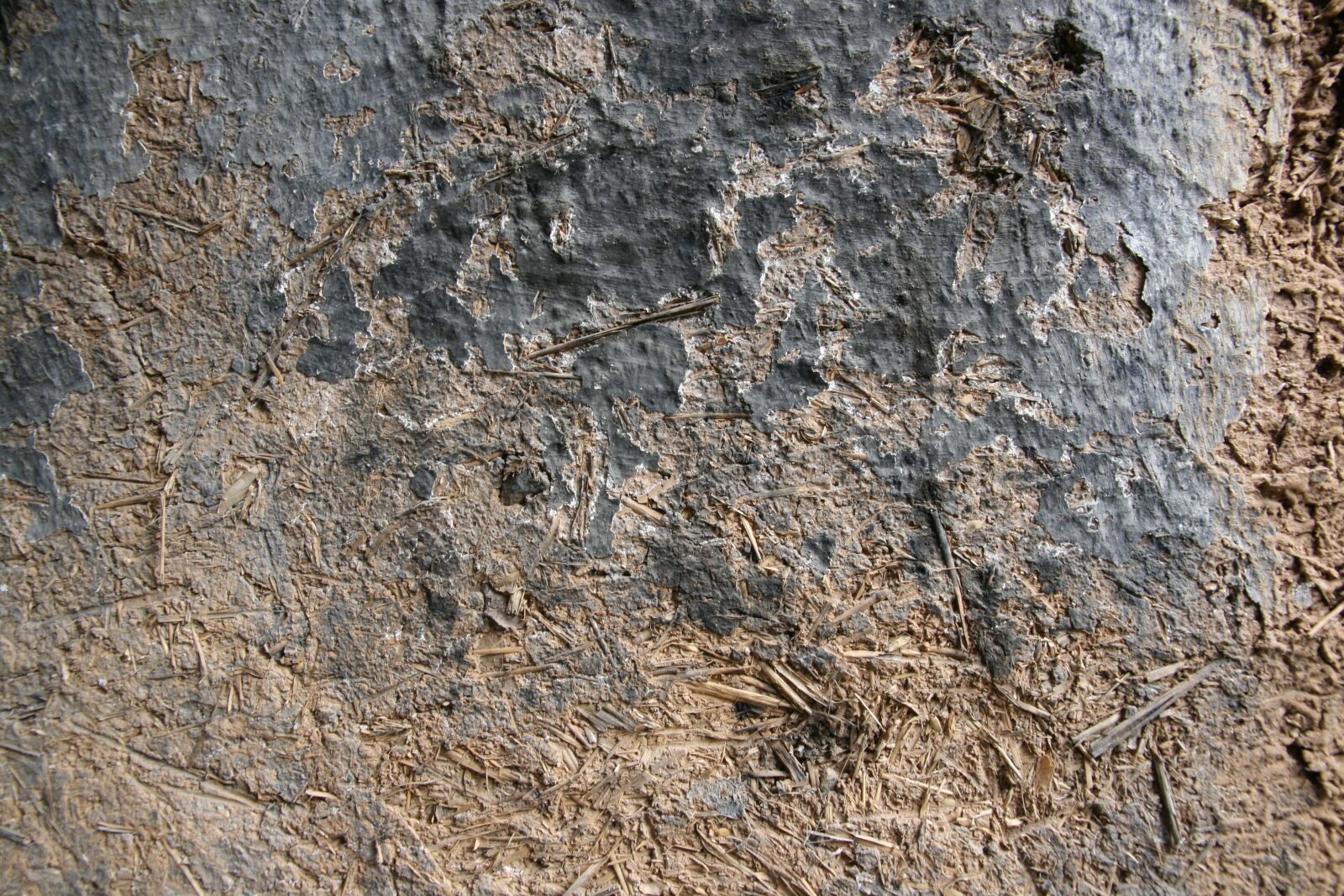 Canon EOS 400D (EOS Digital Rebel XTi / EOS Kiss Digital X) sample photo. Old wall, texture, blue photography