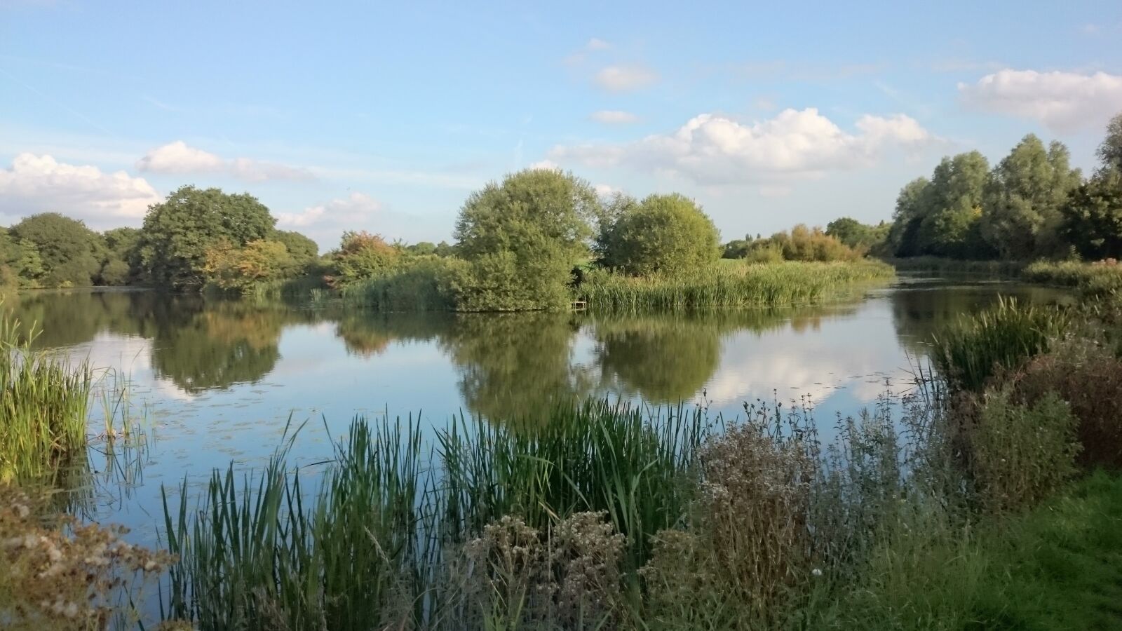 Sony Xperia Z1 Compact sample photo. Sankey valley, pond, lake photography