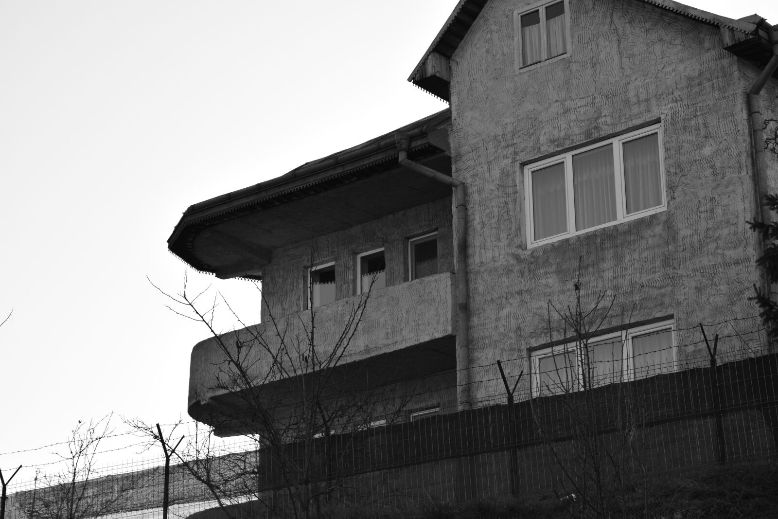 Nikon D5300 sample photo