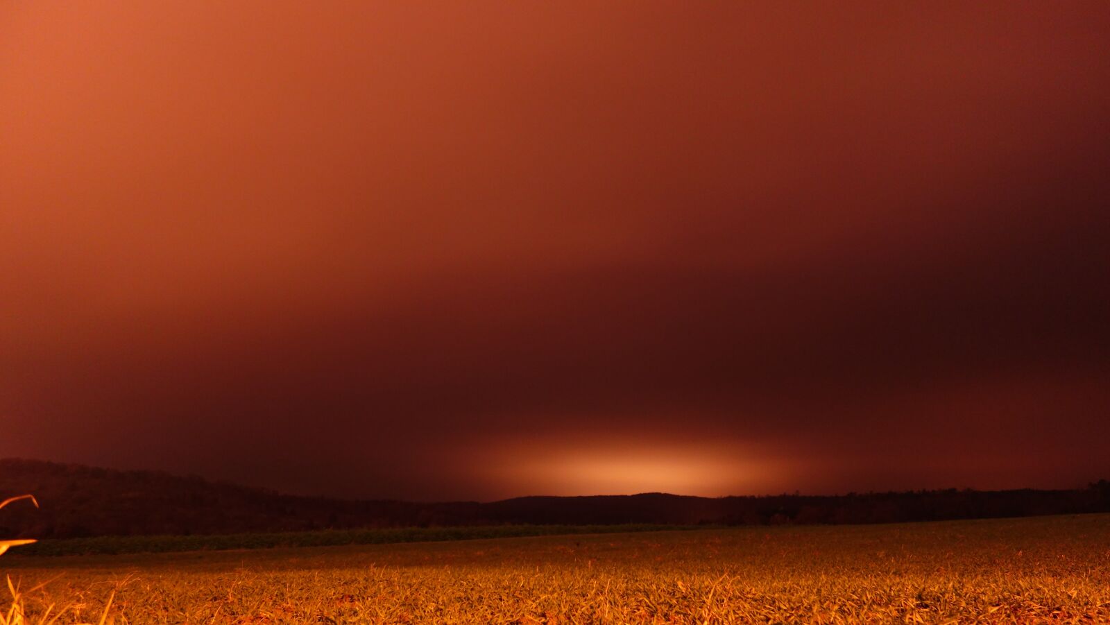 Sony Cyber-shot DSC-RX100 sample photo. Field, night, sahara dust photography