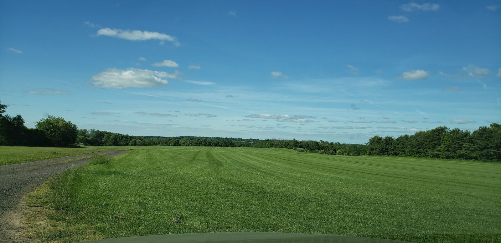 Samsung Galaxy Note9 sample photo. Field, open sky, green photography